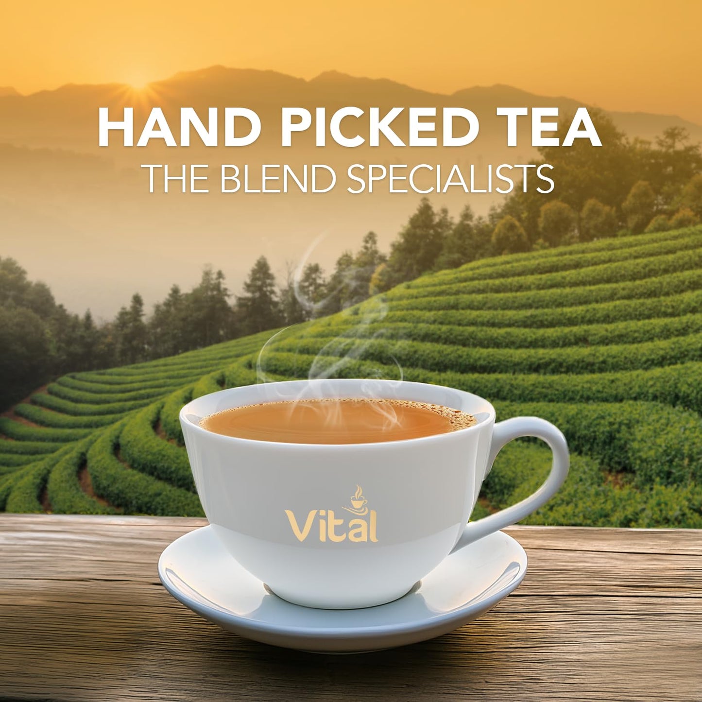 Vital Classic Loose Leaf Tea 900g