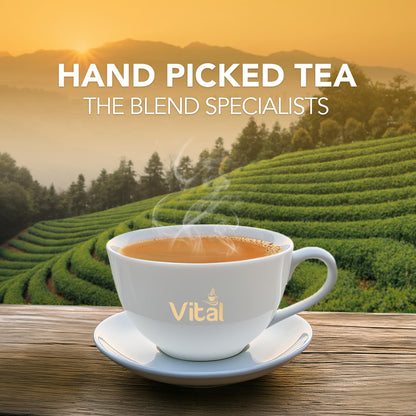 Vital Classic Loose Leaf Tea 1800g