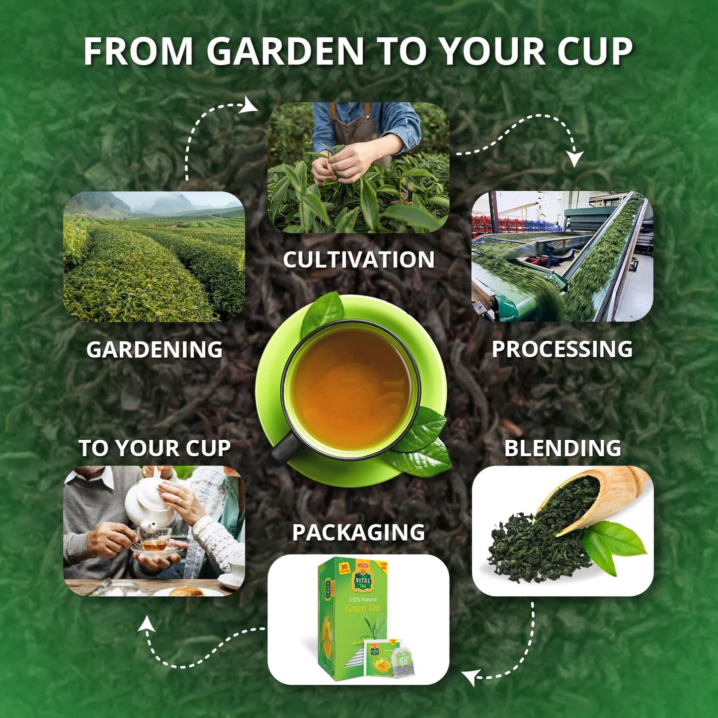 Eastern Vital Natural Green Tea 30 Tea Bag