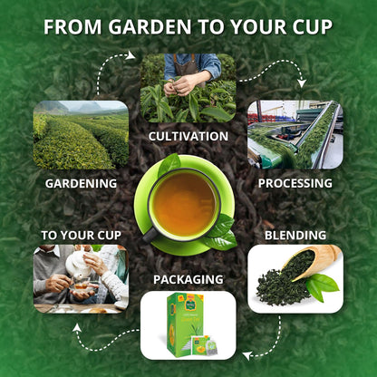 Eastern Vital Natural Green Tea 30 Tea Bag